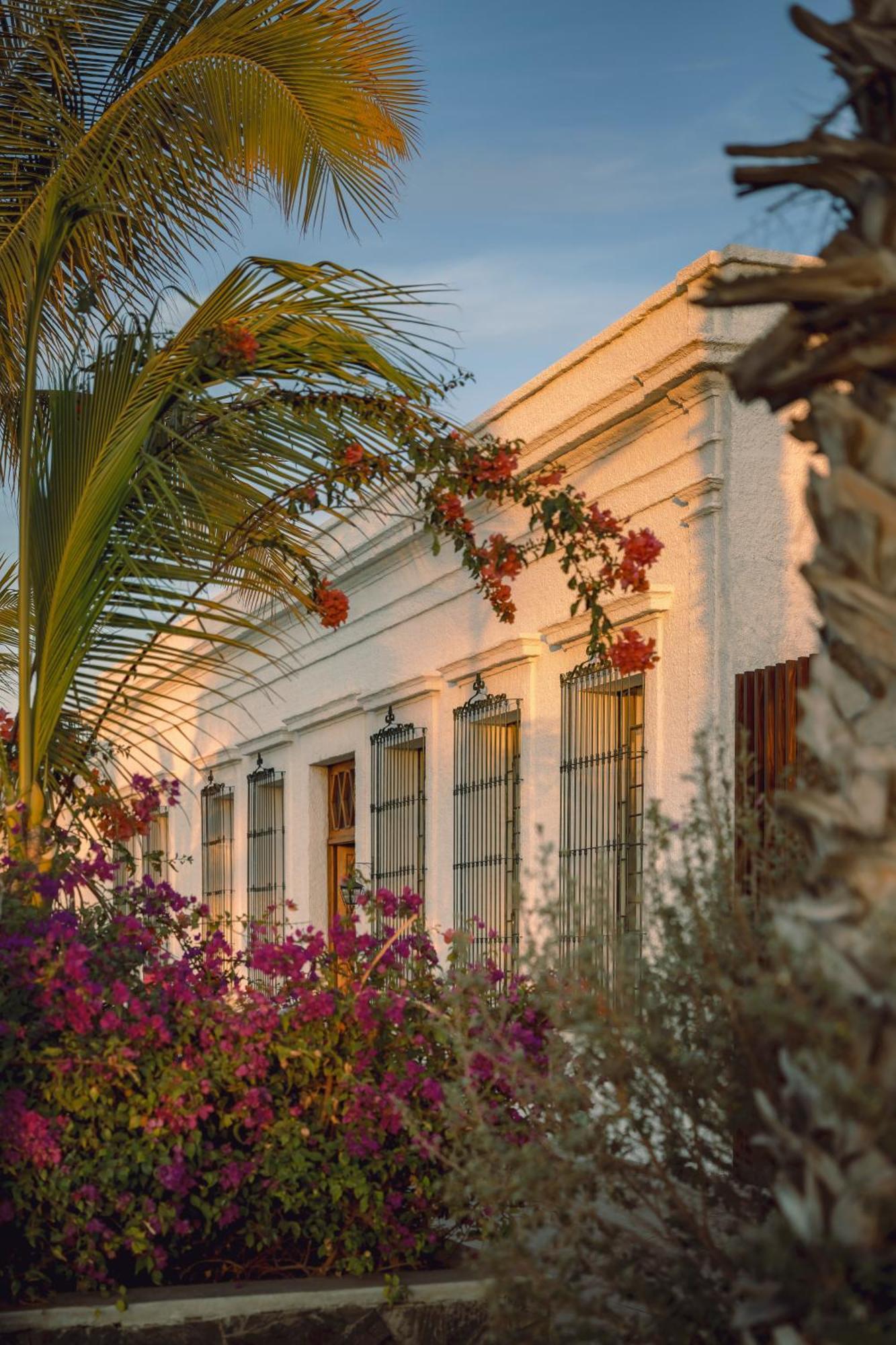 Baja Club Hotel, La Paz, Baja California Sur, A Member Of Design Hotels Eksteriør bilde